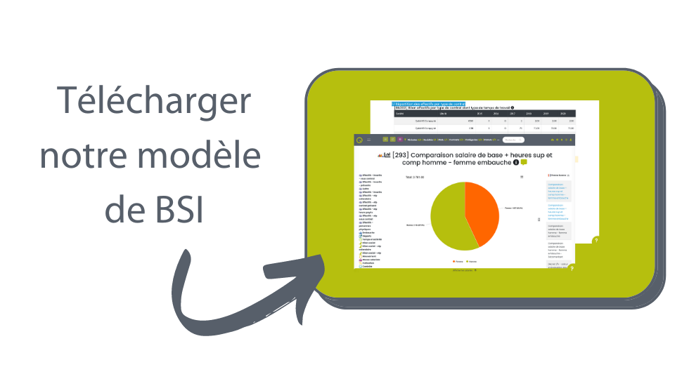 modele-bsi--bilan-social-individuel télécharger notre modèle de Bilan Social Individuel