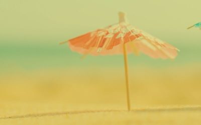 Blog RH 12 Indémnité congés payés et rémunération variable