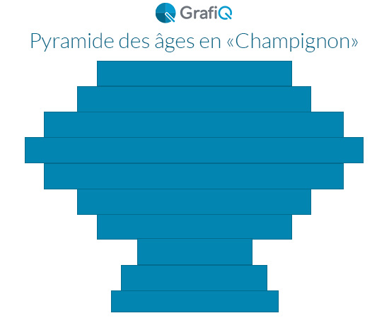 pyramide-des-ages-entreprise-champignon-grafiq-quickms-550x450 exemple de des âges entreprise en forme de "Champignon"
