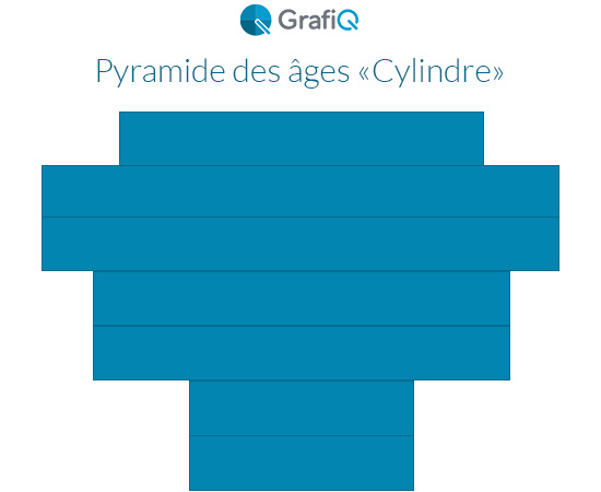 pyramide-des-ages-entreprise-cylindre-grafiq-quickms-550x450 exemple de des âges entreprise en forme de "Cylindre"