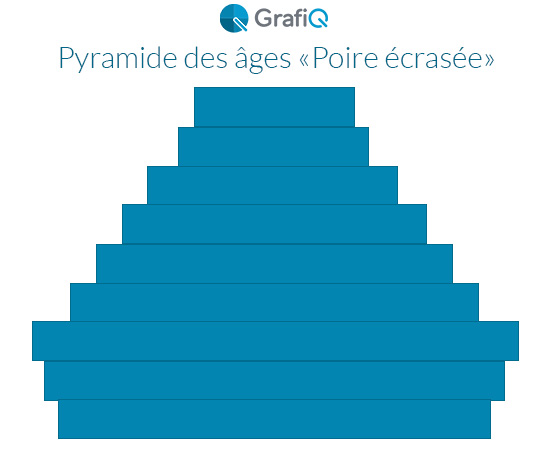 pyramide-des-ages-entreprise-poire-ecrasee-grafiq-quickms-550x450 exemple de des âges entreprise en forme de "Poire écrasée"