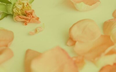 Blog RH 8 Décès d’un salarié : quelles conséquences ?